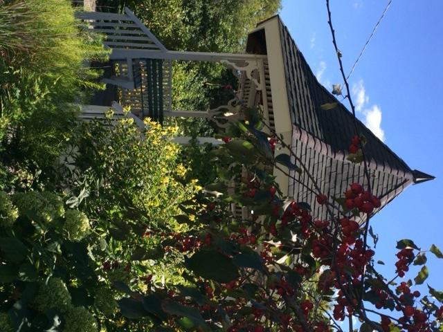 Breezy Hill Bed & Breakfast
