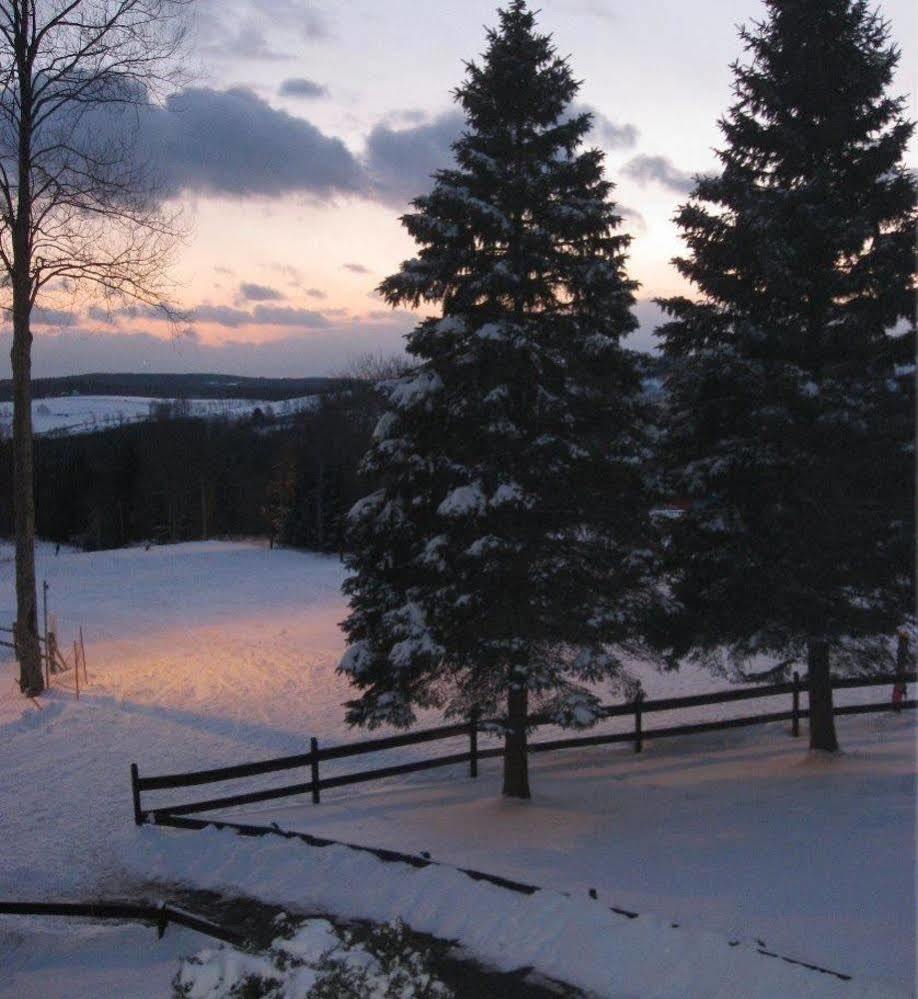 Roma And Conference Center 4* Callicoon
