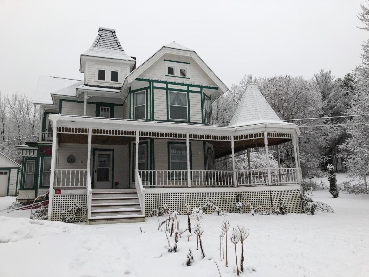 Antique Rose 3* Windham